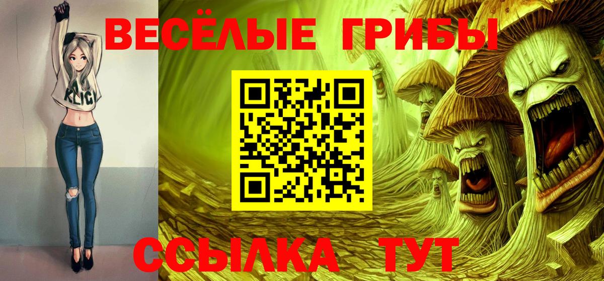 Псилоцибиновые грибы мицелий Октябрьский