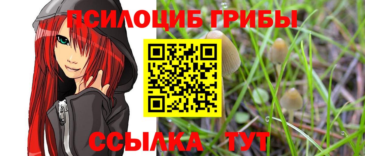 Псилоцибиновые грибы Cubensis  Псилоцибиновые грибы MAGIC MUSHROOMS  Вход с VPN  Октябрьский 